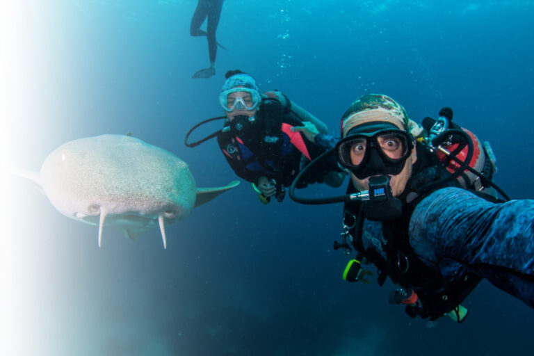 Buceo en cozumél_Buzos junto a un tiburón