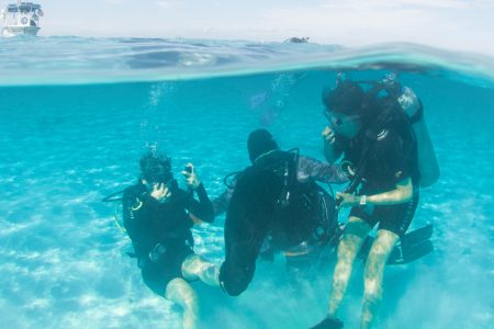 Descubriendo el buceo desde barco en Cozumel