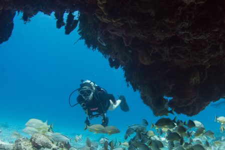Curso Avanzado PADI 3 días