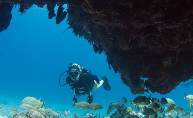 Curso Avanzado PADI 3 días