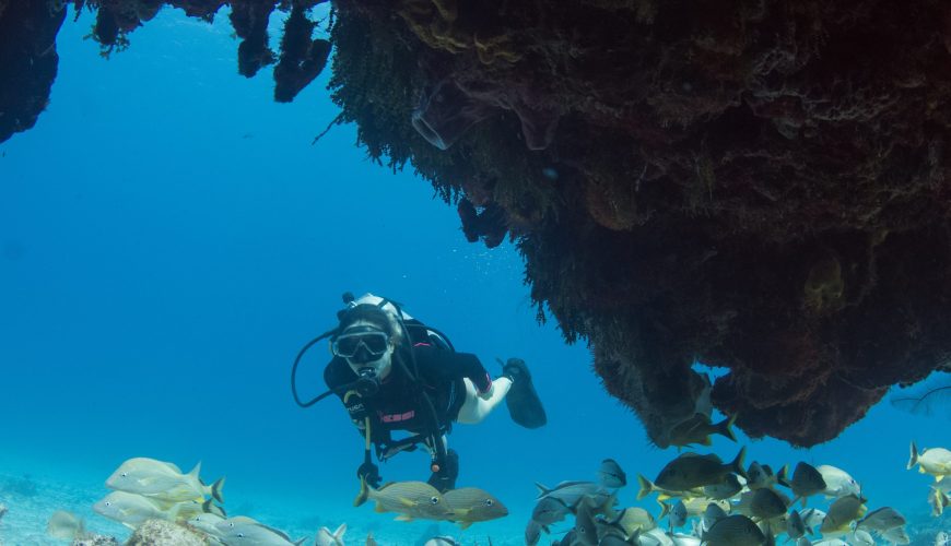 Curso Avanzado PADI 3 días