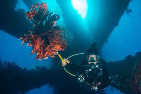 Buceo para Certificados