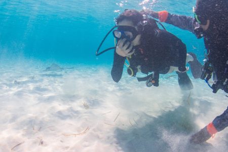 Descubriendo el buceo desde la playa en Cozumel