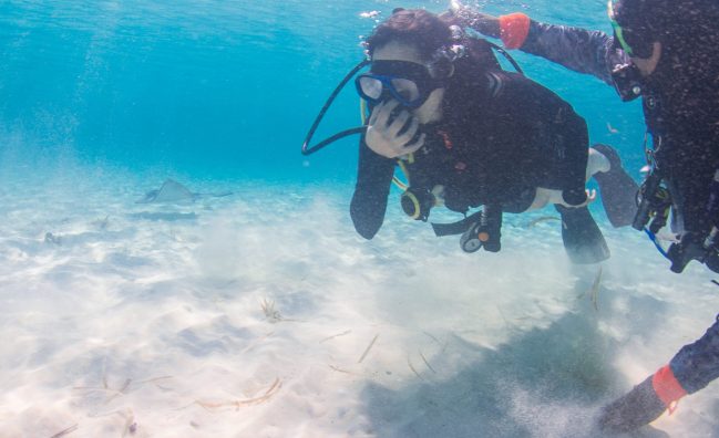 Descubriendo el buceo desde la playa en Cozumel