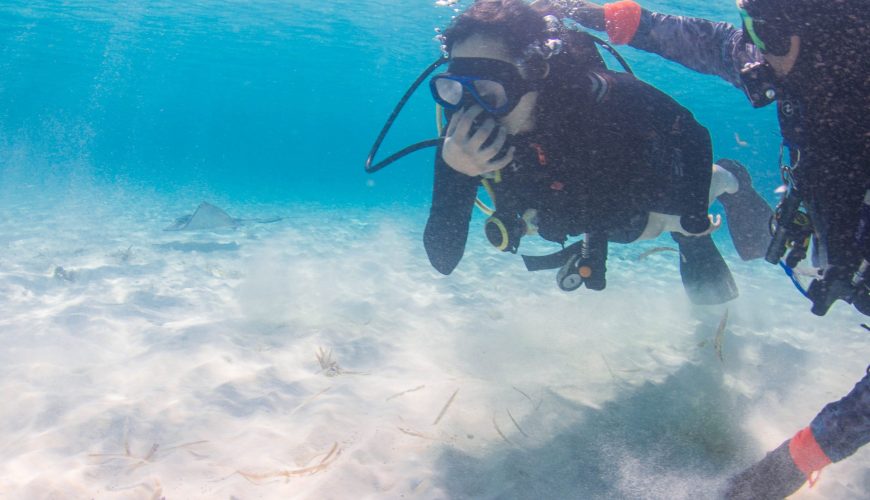 Descubriendo el buceo desde la playa en Cozumel