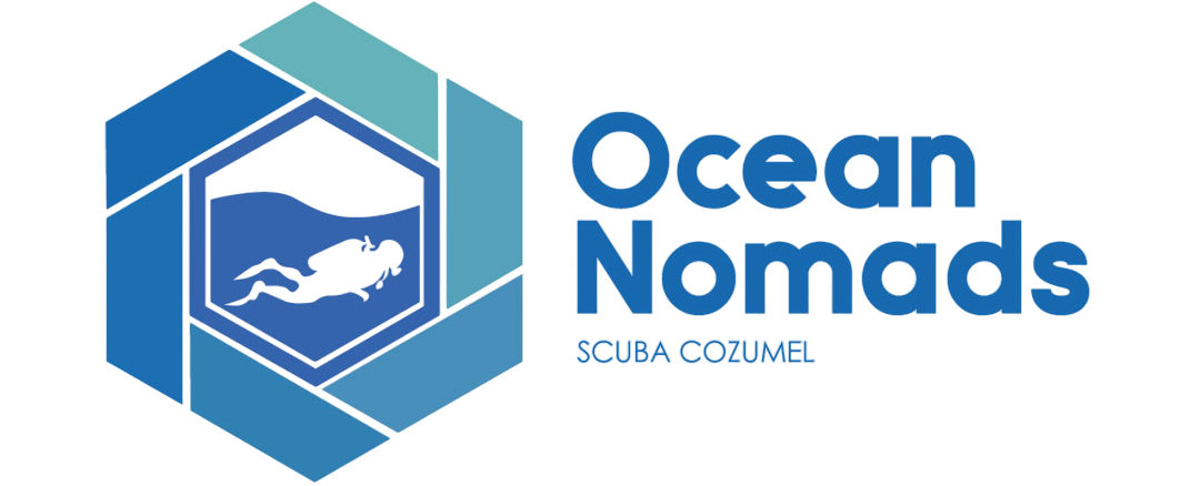 Ocean nomads